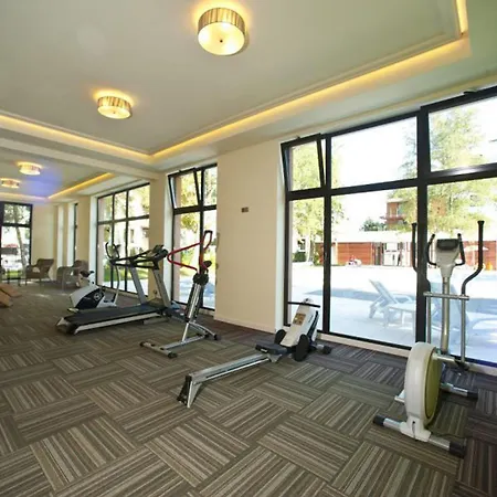 Apartament Omi *