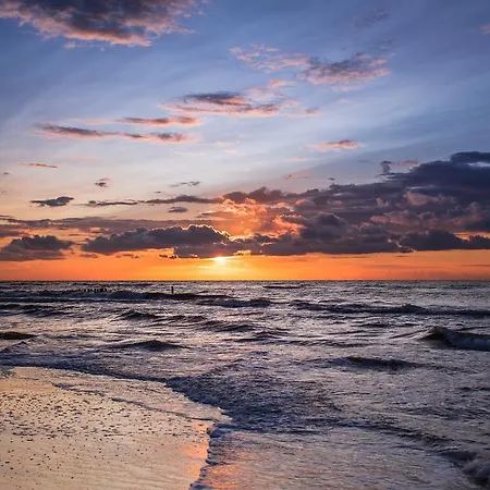 Omi * Kołobrzeg