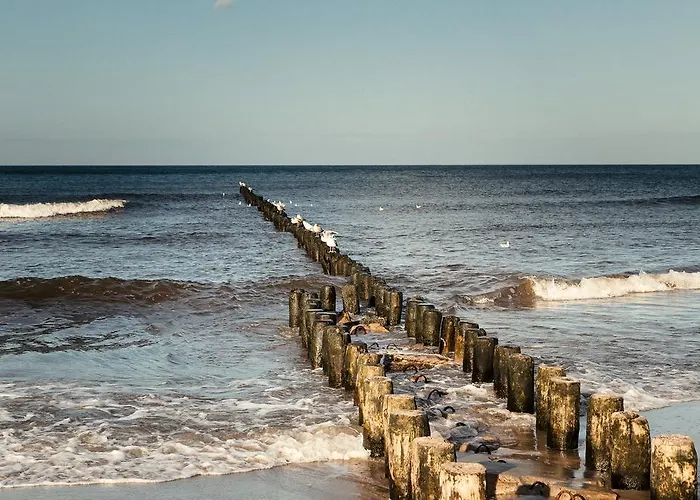 アパート Omi コウォブジェク